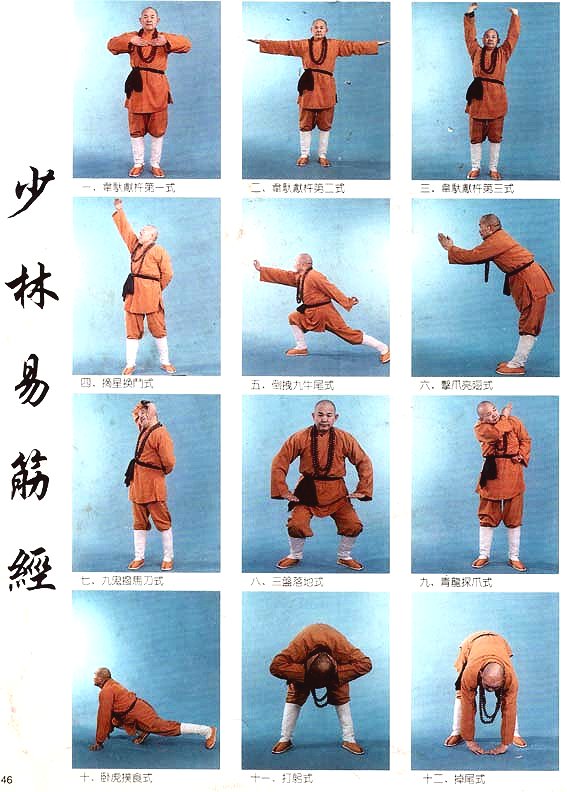 Ejercicios de Chi Kung, Armonía entre Cuerpo y Mente – Taiji Quan Yang Tradicional